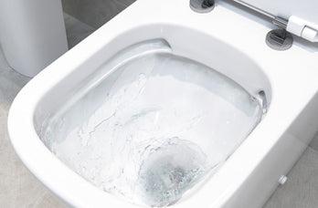 Rimless Toilets