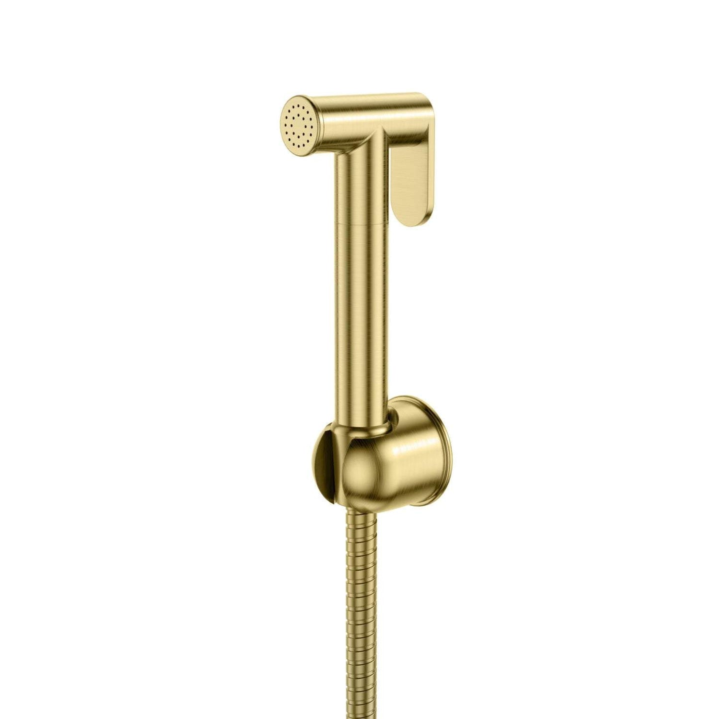 Douche Handset, Flexi and Holder only Brushed Brass