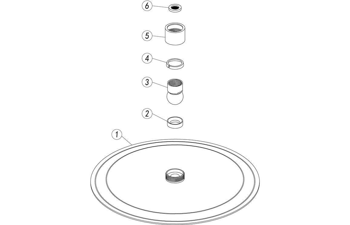Aurora 250mm Round Ultraslim Showerhead - Brushed Brass